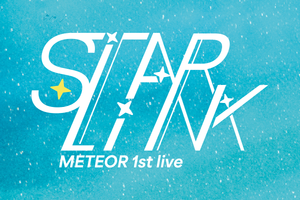 Starlink Concert Merchandise